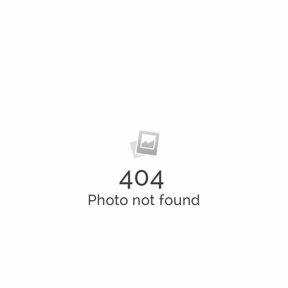 Apple (5) .png